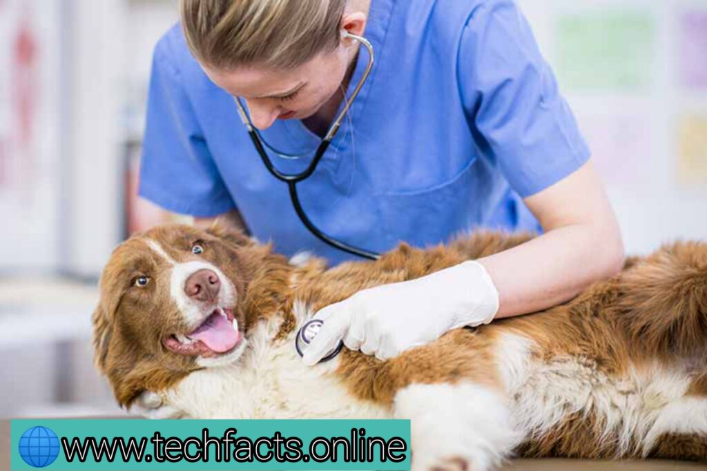 Veterinary technology