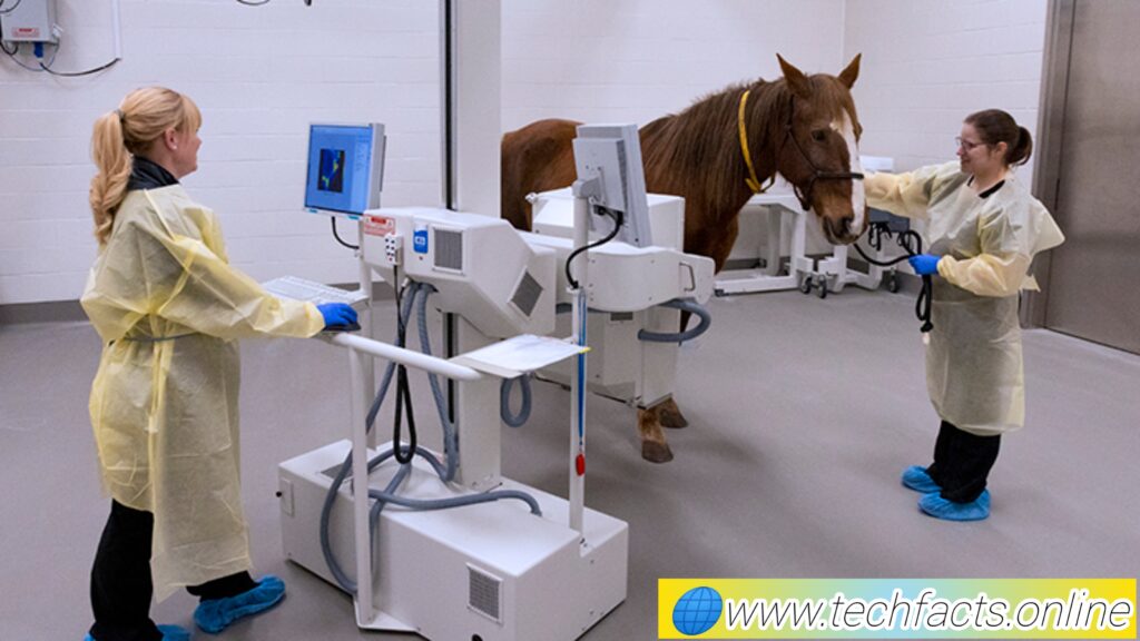 Veterinary technology